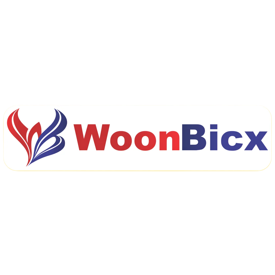 WoonBicx-Digital Marketing Institute And Agency